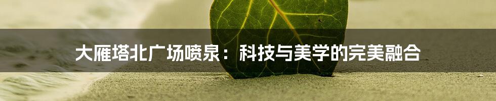 大雁塔北广场喷泉：科技与美学的完美融合