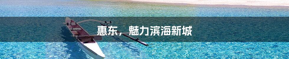 惠东，魅力滨海新城