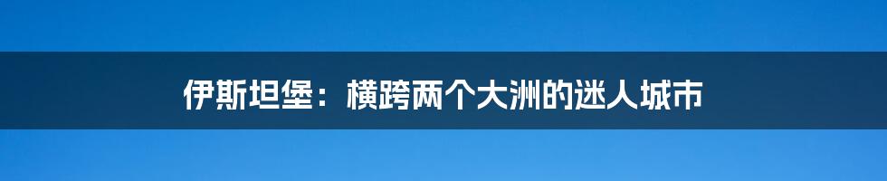 伊斯坦堡：横跨两个大洲的迷人城市