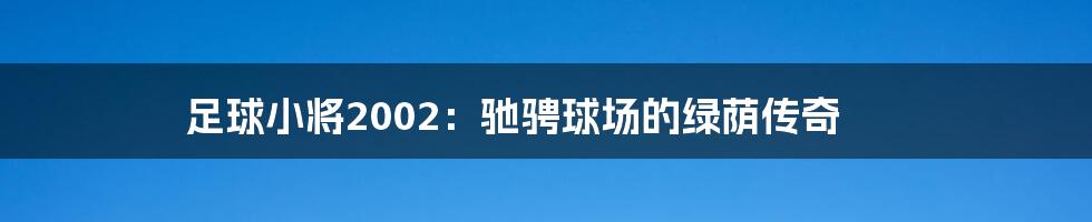 足球小将2002：驰骋球场的绿荫传奇