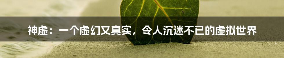 神虚：一个虚幻又真实，令人沉迷不已的虚拟世界