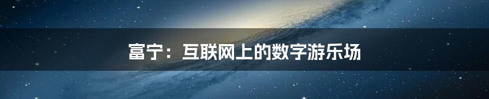 富宁：互联网上的数字游乐场