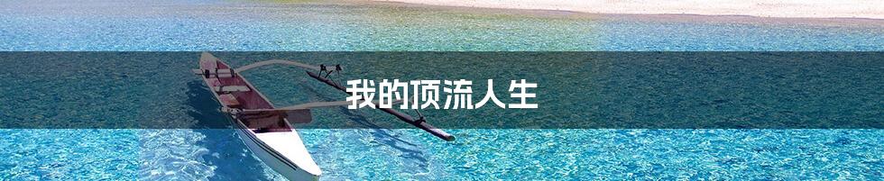 我的顶流人生