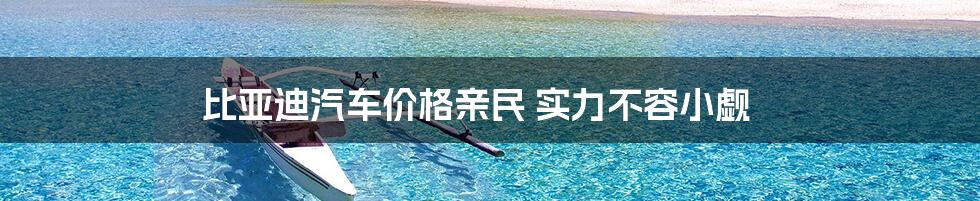 比亚迪汽车价格亲民 实力不容小觑