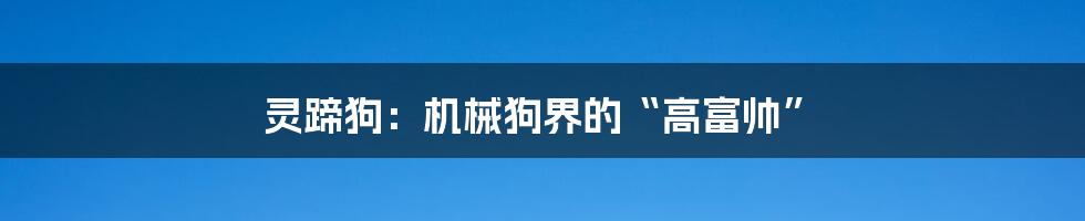 灵蹄狗：机械狗界的“高富帅”