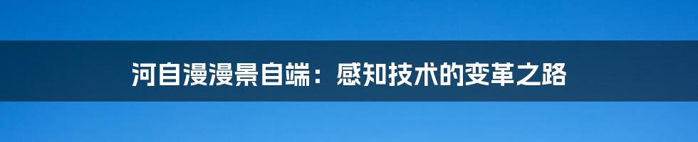 河自漫漫景自端：感知技术的变革之路