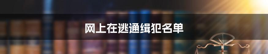 网上在逃通缉犯名单