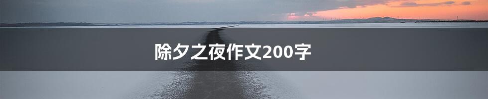 除夕之夜作文200字