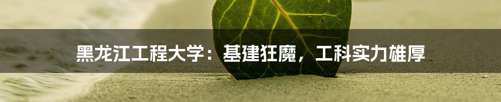 黑龙江工程大学：基建狂魔，工科实力雄厚