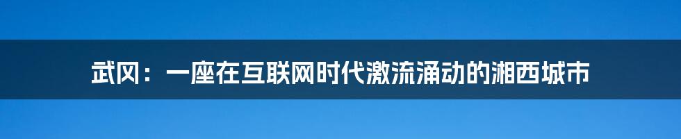 武冈：一座在互联网时代激流涌动的湘西城市