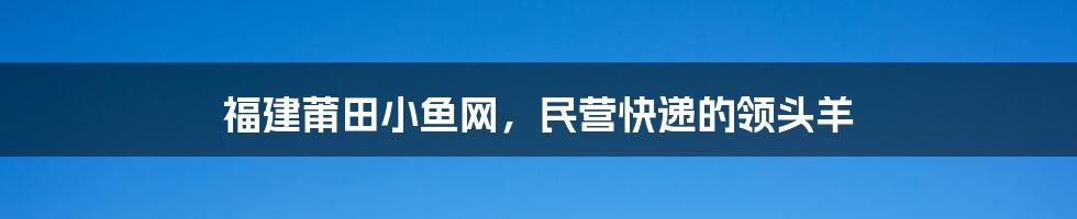 福建莆田小鱼网，民营快递的领头羊