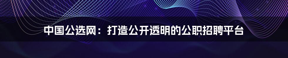 中国公选网：打造公开透明的公职招聘平台