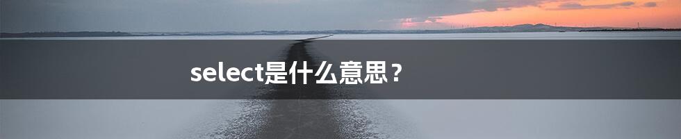 select是什么意思？