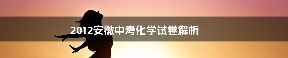 2012安徽中考化学试卷解析