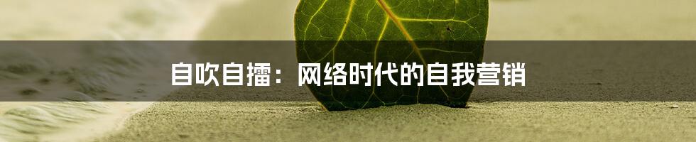 自吹自擂：网络时代的自我营销