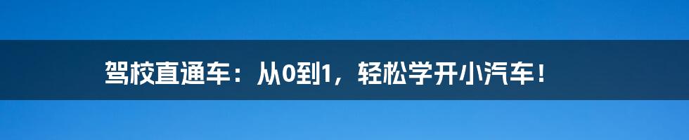 驾校直通车：从0到1，轻松学开小汽车！