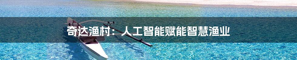 奇达渔村：人工智能赋能智慧渔业