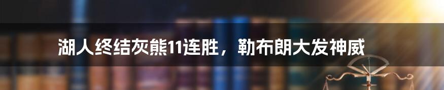 湖人终结灰熊11连胜，勒布朗大发神威