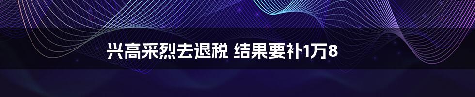 兴高采烈去退税 结果要补1万8