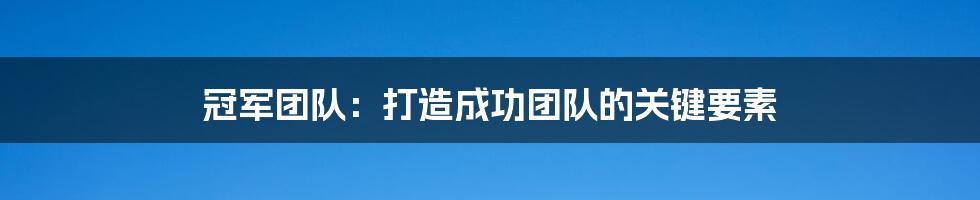 冠军团队：打造成功团队的关键要素