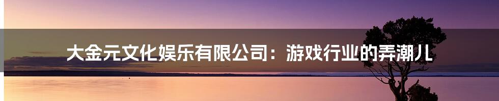 大金元文化娱乐有限公司：游戏行业的弄潮儿