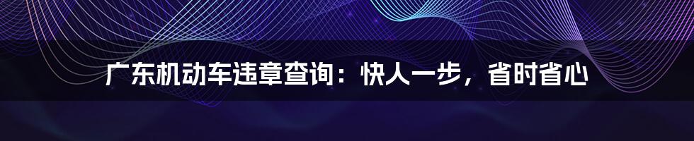 广东机动车违章查询：快人一步，省时省心