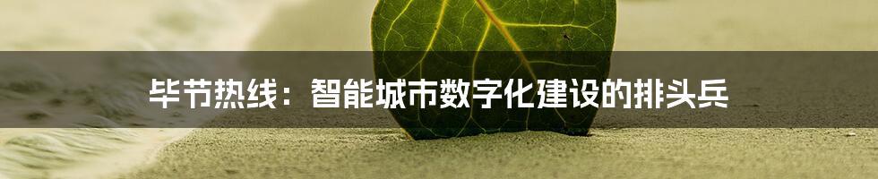 毕节热线：智能城市数字化建设的排头兵