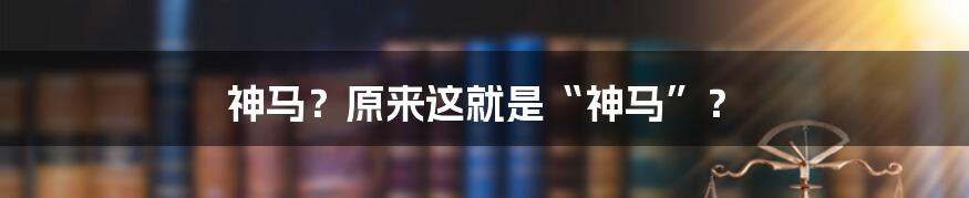 神马？原来这就是“神马”？