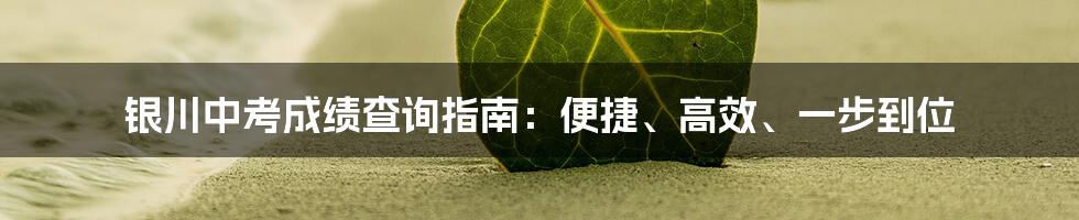 银川中考成绩查询指南：便捷、高效、一步到位