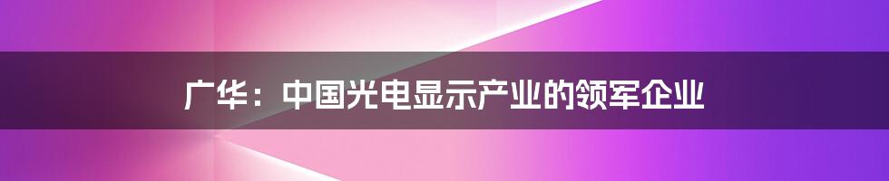 广华：中国光电显示产业的领军企业