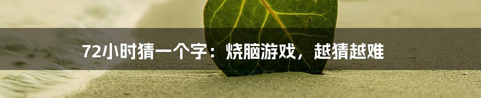 72小时猜一个字：烧脑游戏，越猜越难