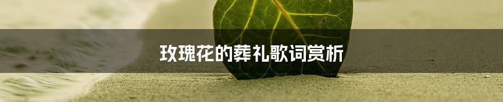 玫瑰花的葬礼歌词赏析