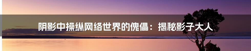 阴影中操纵网络世界的傀儡：揭秘影子大人