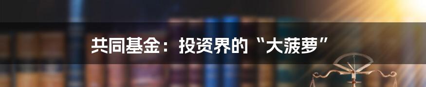 共同基金：投资界的“大菠萝”