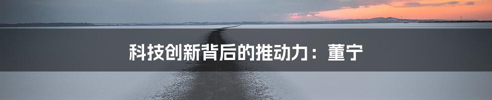 科技创新背后的推动力：董宁