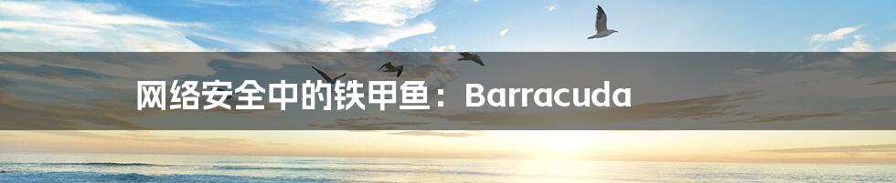 网络安全中的铁甲鱼：Barracuda