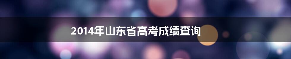 2014年山东省高考成绩查询