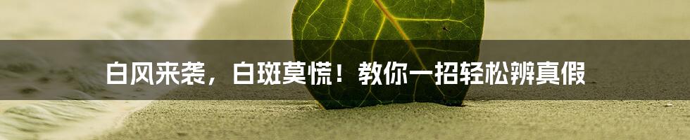 白风来袭，白斑莫慌！教你一招轻松辨真假