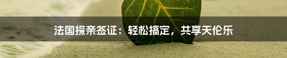 法国探亲签证：轻松搞定，共享天伦乐