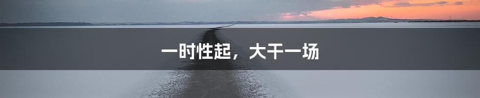 一时性起，大干一场