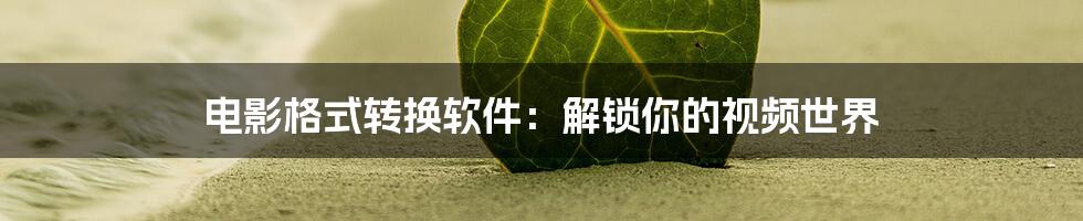 电影格式转换软件：解锁你的视频世界