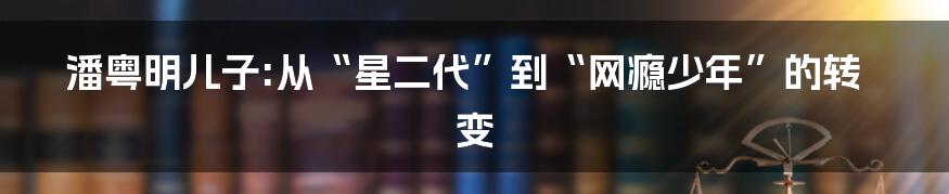 潘粤明儿子:从“星二代”到“网瘾少年”的转变