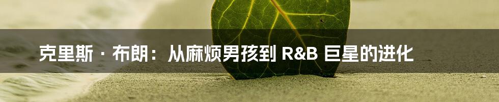 克里斯·布朗：从麻烦男孩到 R&B 巨星的进化