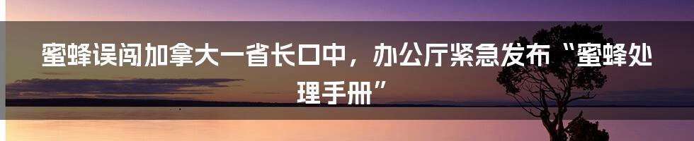 蜜蜂误闯加拿大一省长口中，办公厅紧急发布“蜜蜂处理手册”