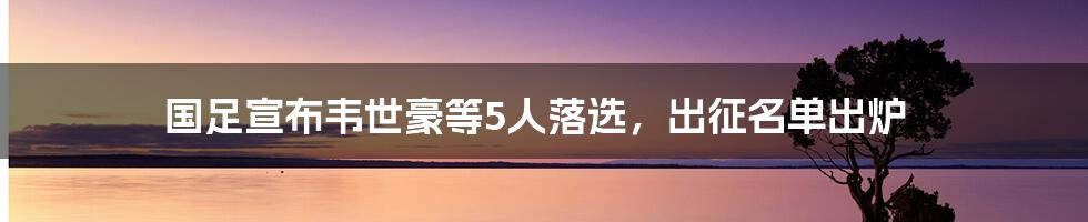 国足宣布韦世豪等5人落选，出征名单出炉