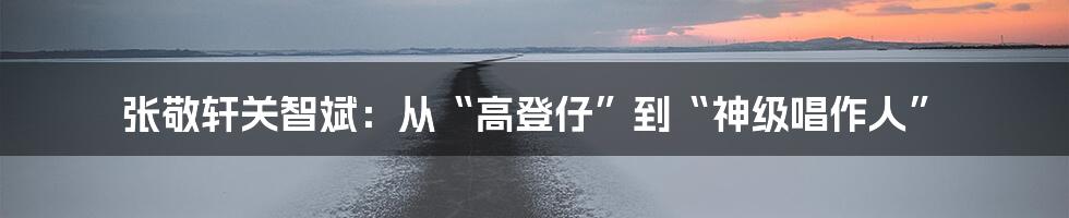 张敬轩关智斌：从“高登仔”到“神级唱作人”