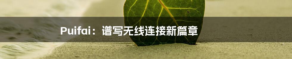 Puifai：谱写无线连接新篇章