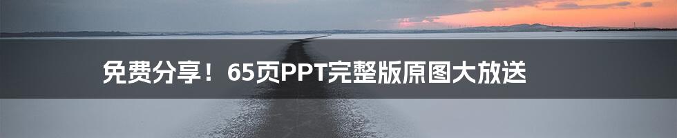 免费分享！65页PPT完整版原图大放送