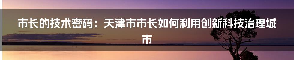 市长的技术密码：天津市市长如何利用创新科技治理城市