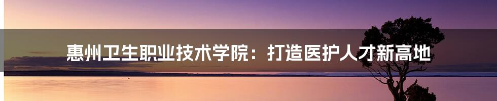 惠州卫生职业技术学院：打造医护人才新高地